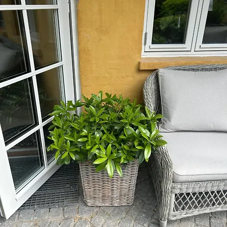 Vidunderligt Hus Med Gardhave - Midt I Centrum Brettevillesgade 16 A Апартаменты Ольборг