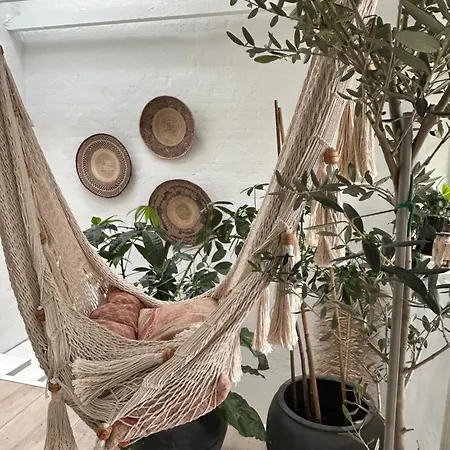 Апартаменты Vidunderligt Hus Med Gardhave - Midt I Centrum Brettevillesgade 16 A
